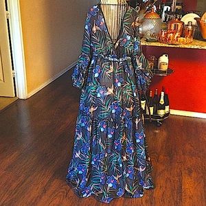 Transparent Maxi Dress 🌺